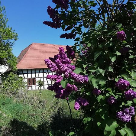 Gite Rue De L'Ange Hunspach 外观 照片