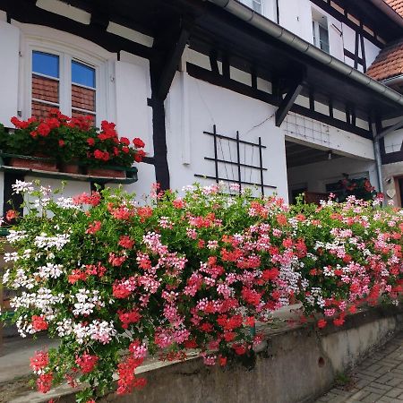 Gite Rue De L'Ange Hunspach 外观 照片