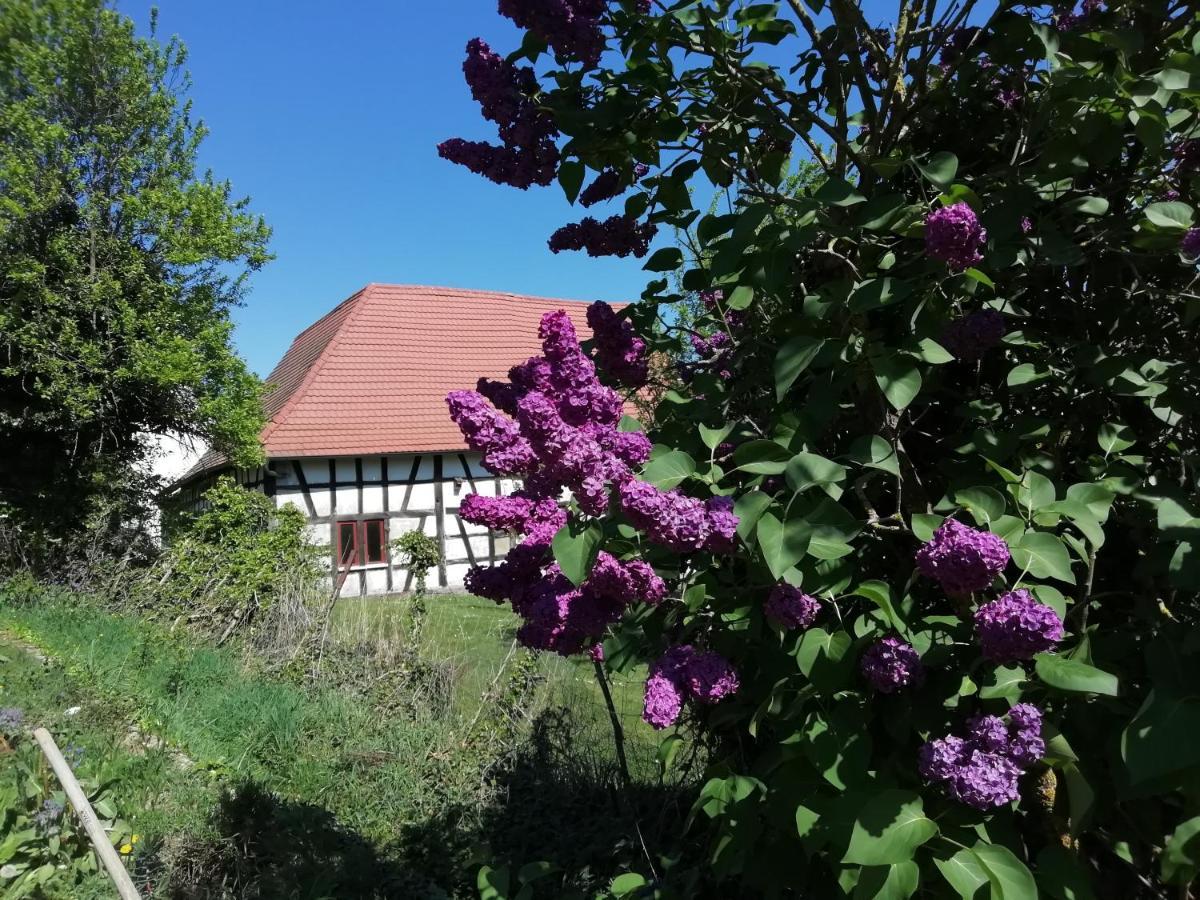 Gite Rue De L'Ange Hunspach 外观 照片