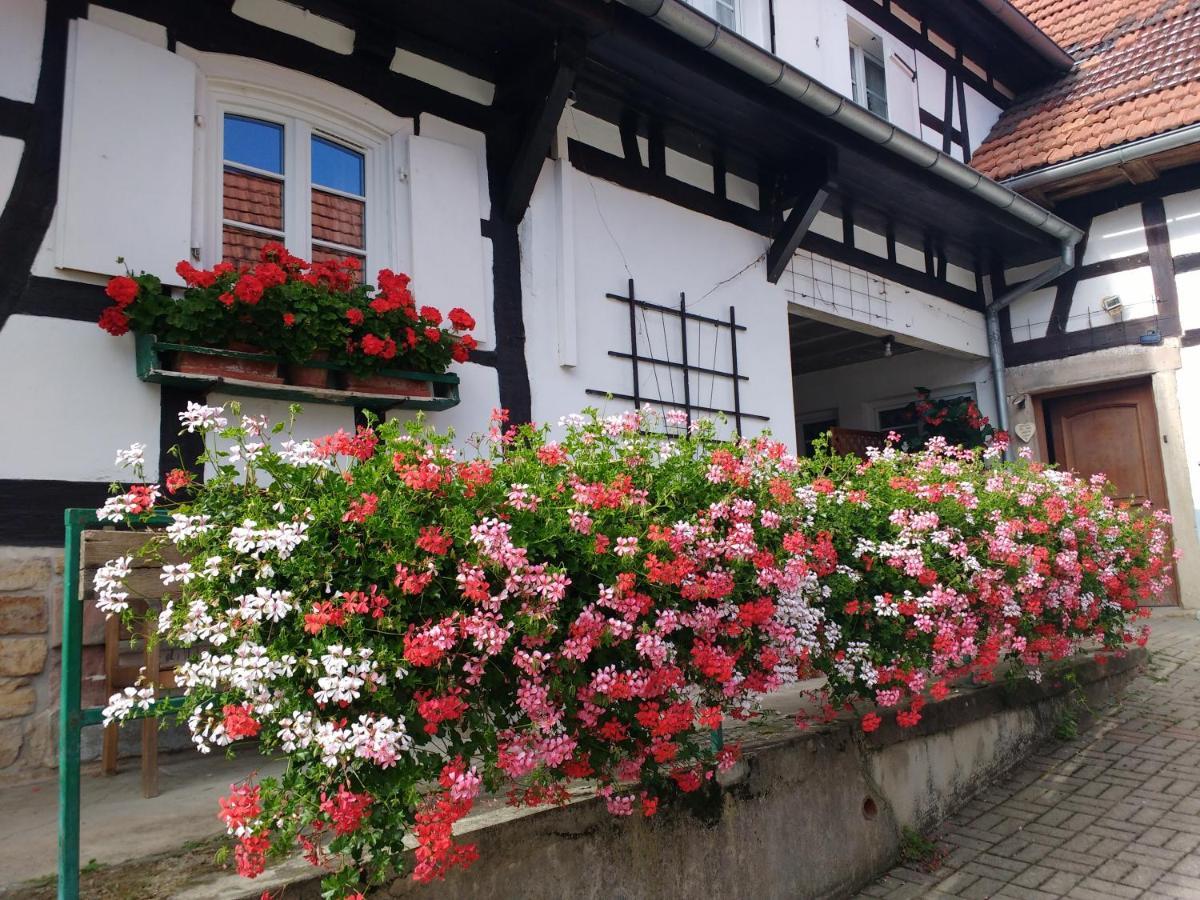 Gite Rue De L'Ange Hunspach 外观 照片