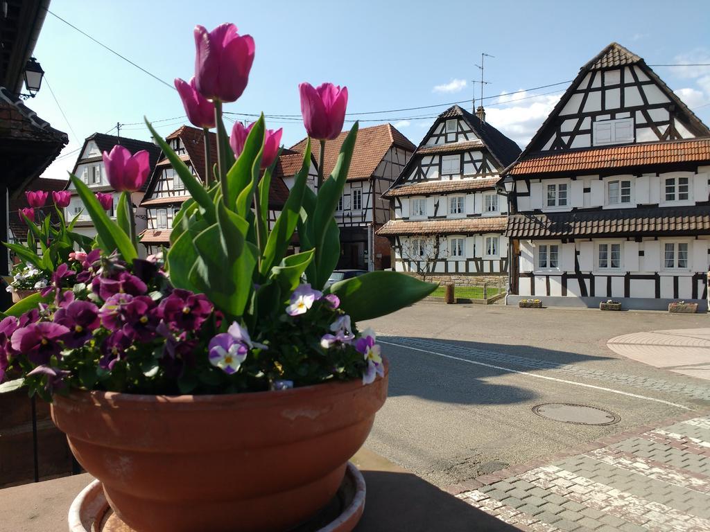 Gite Rue De L'Ange Hunspach 外观 照片